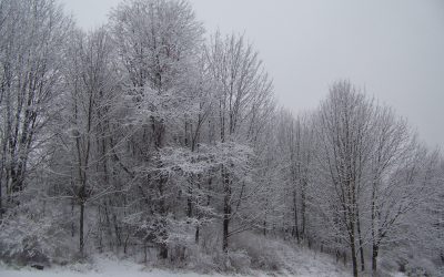 Winter Weather Statement