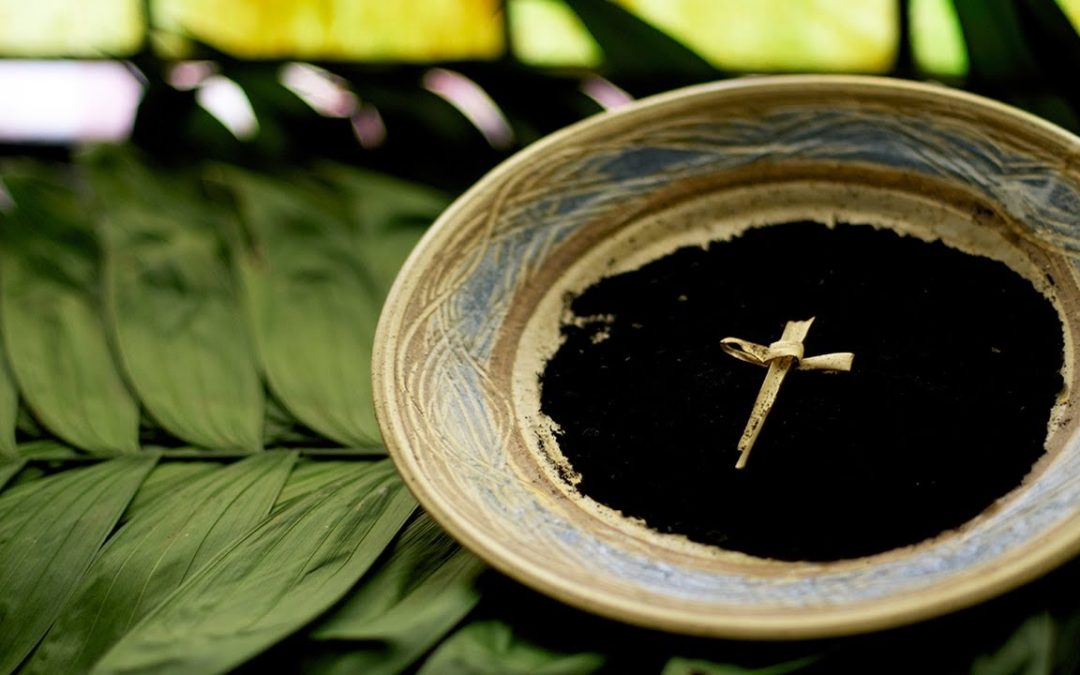 Ash Wednesday – Distribution of Ashes & Mass Schedule