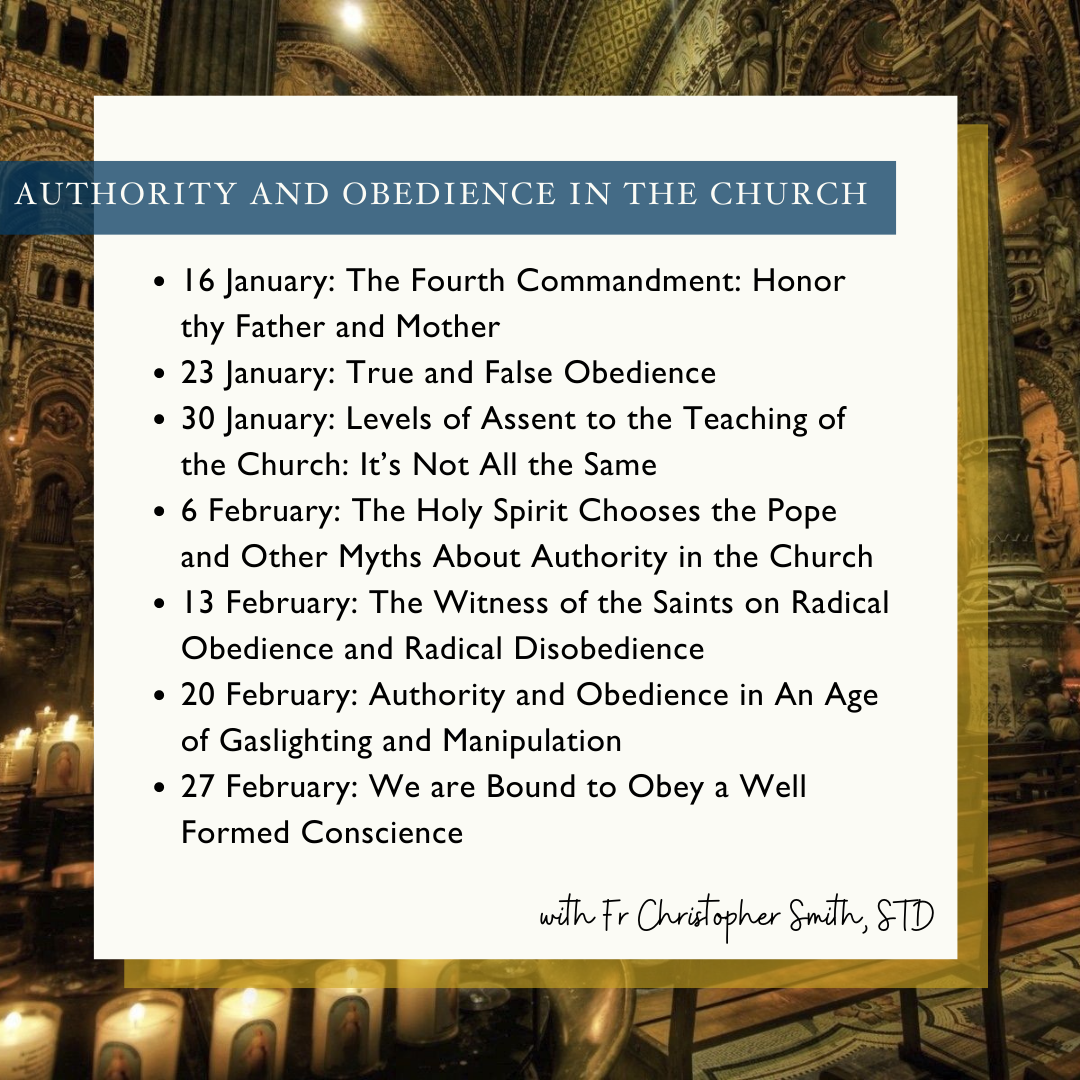 The Holy Spirit Chooses the Pope and Other Myths About Authority in the Church Image