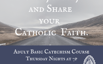 Marian Catechist Basic Catechism Course: Intro Meeting on 2 June at 7p