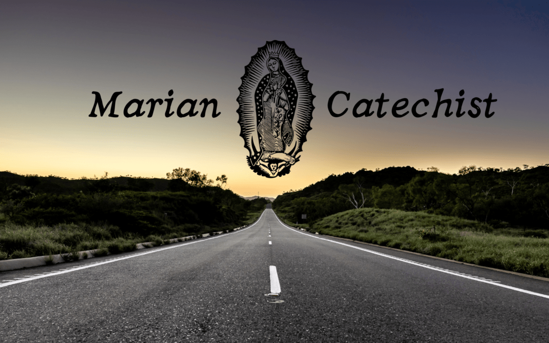 Marian Catechist Basic Catechism Course: Intro Meeting on 7 August at 6.30p