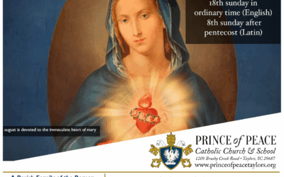 3 August 2025 Bulletin