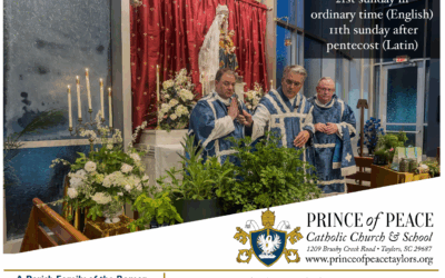 24 August 2025 Bulletin