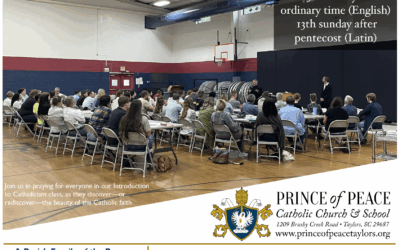 7 September 2025 Bulletin
