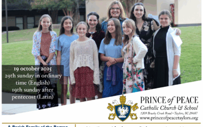 19 October 2025 Bulletin