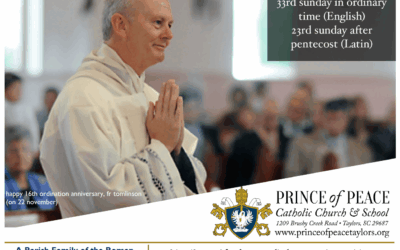 16 November 2025 Bulletin