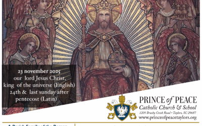 23 November 2025 Bulletin