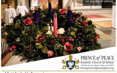 30 November 2025 Bulletin