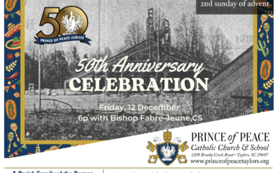 7 December 2025 Bulletin