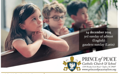 14 December 2025 Bulletin