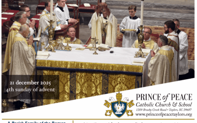 21 December 2025 Bulletin