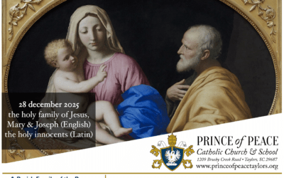 28 December 2025 Bulletin