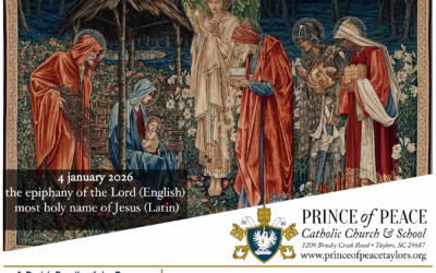 4 January 2026 Bulletin