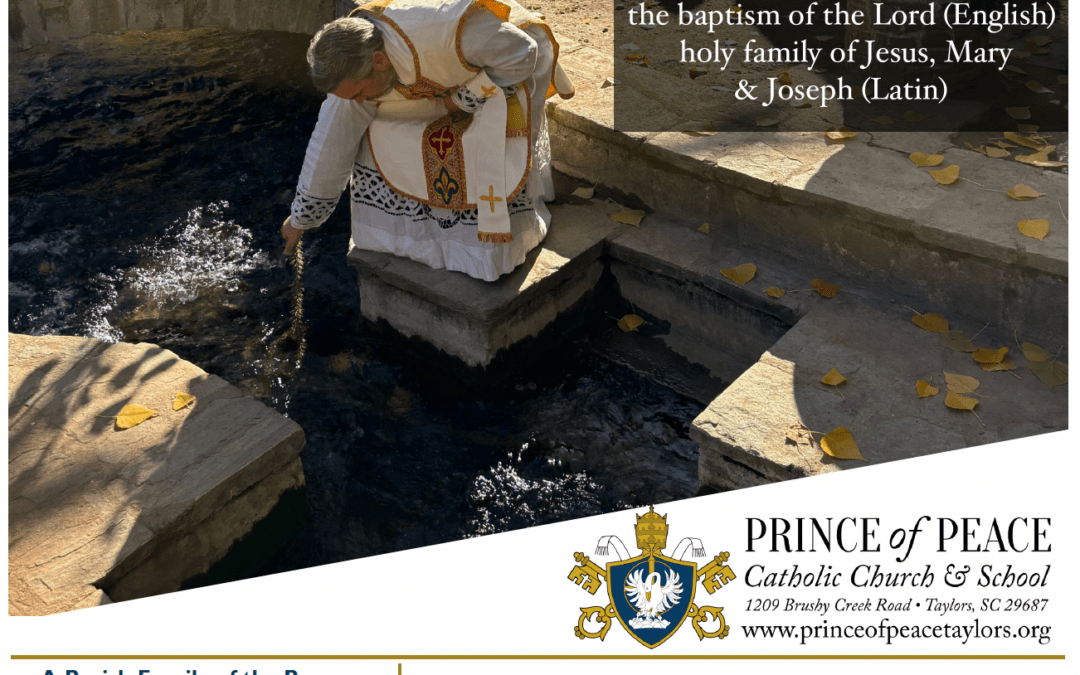 11 January 2026 Bulletin