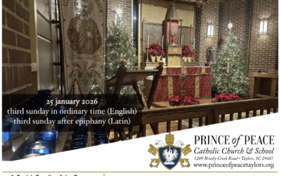 25 January 2026 Bulletin