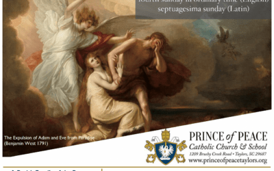 1 February 2026 Bulletin