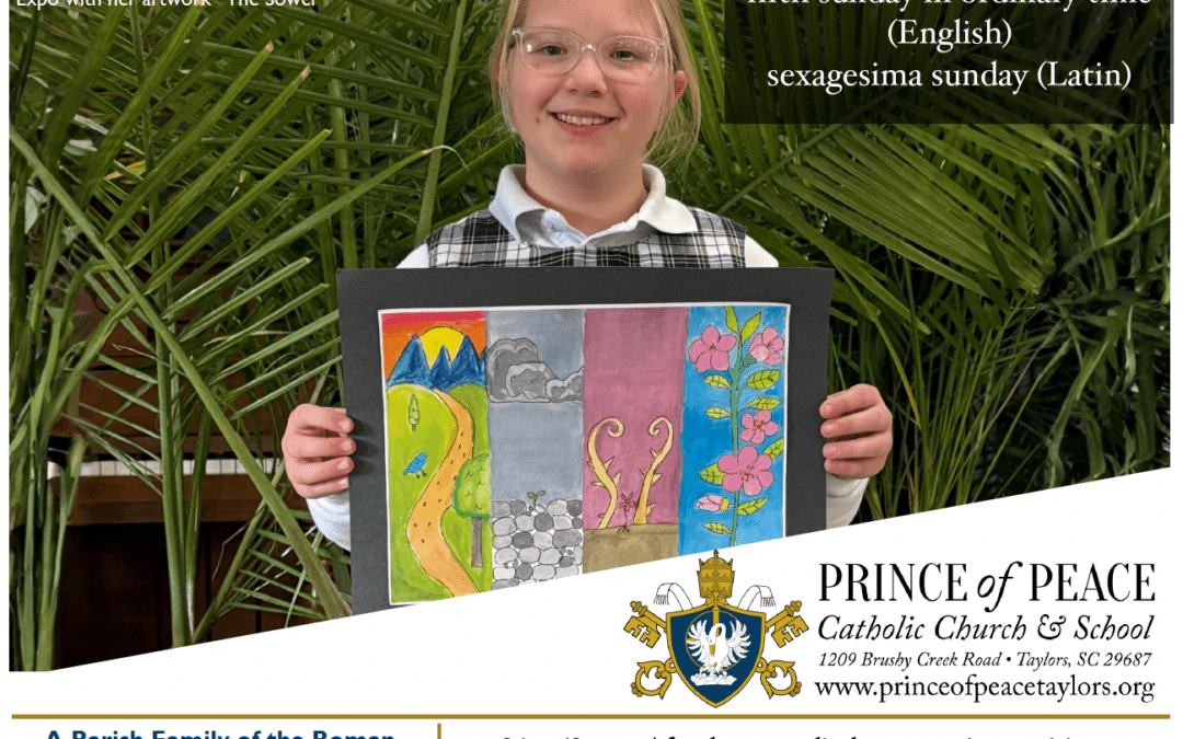 8 February 2026 Bulletin