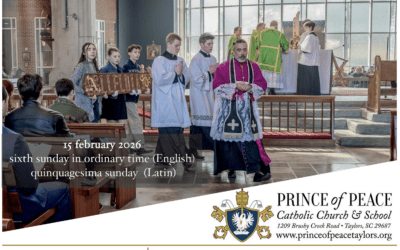 15 February 2026 Bulletin