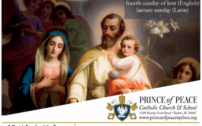 15 March 2026 Bulletin