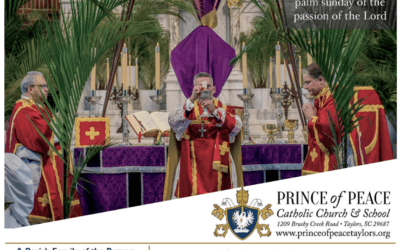 22 March 2026 Bulletin