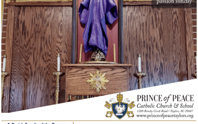 22 March 2026 Bulletin