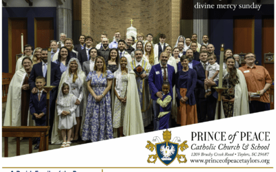 12 April 2026 Bulletin