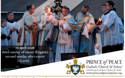 19 April 2026 Bulletin