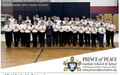 26 April 2026 Bulletin