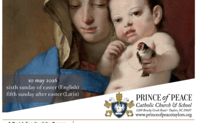 10 May 2026 Bulletin