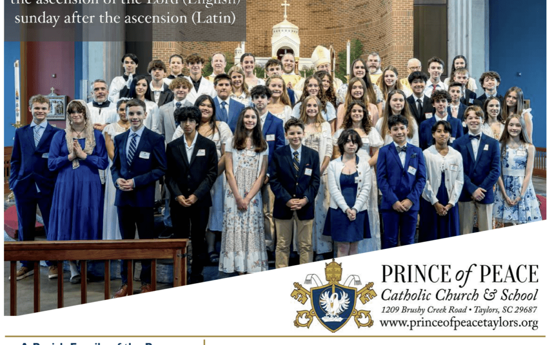 17 May 2026 Bulletin