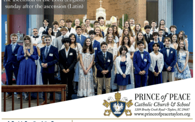 17 May 2026 Bulletin