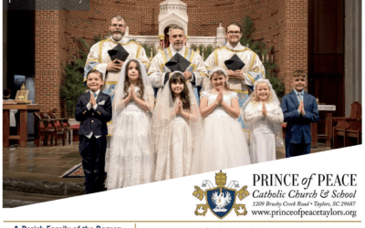 24 May 2026 Bulletin