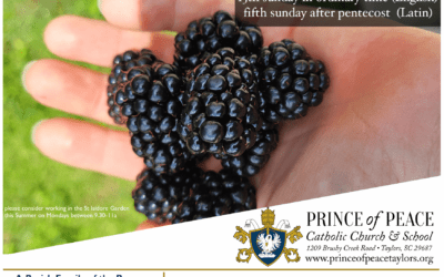 28 June 2026 Bulletin