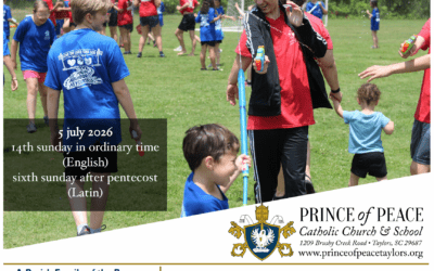 5 July 2026 Bulletin