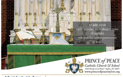 12 July 2026 Bulletin