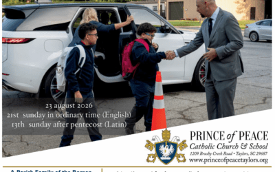 23 August 2026 Bulletin