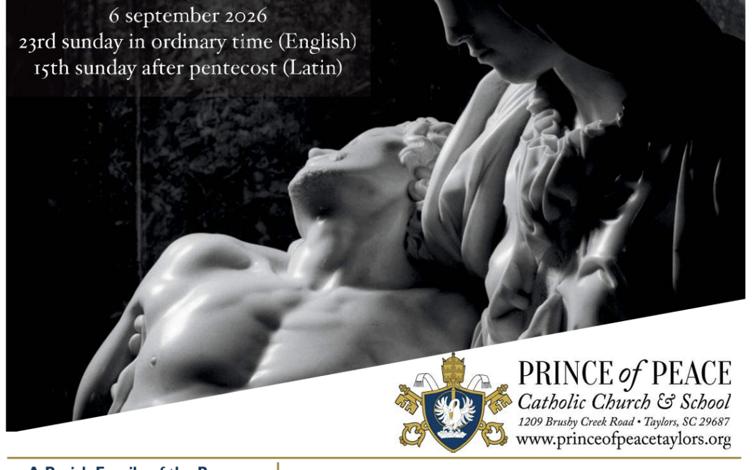 6 September 2026 Bulletin