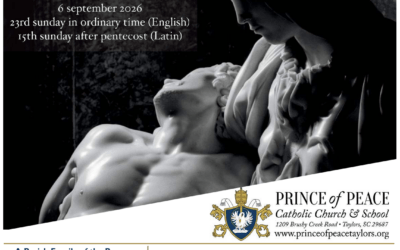 6 September 2026 Bulletin