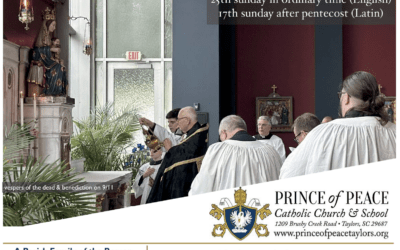 20 September 2026 Bulletin