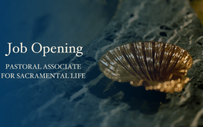Job Opening: Pastoral Associate for Sacramental Life
